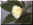 lemontwist.jpg (28670 �o�C�g)
